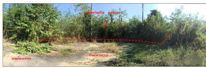 มะเขือแจ้ เมืองลำพูน ลำพูน