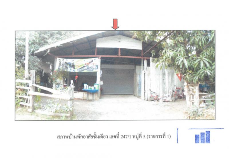 ศรีวิชัย ลี้ ลำพูน