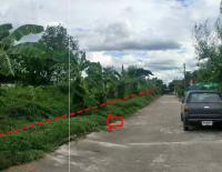 ขายที่ดินว่างเปล่า