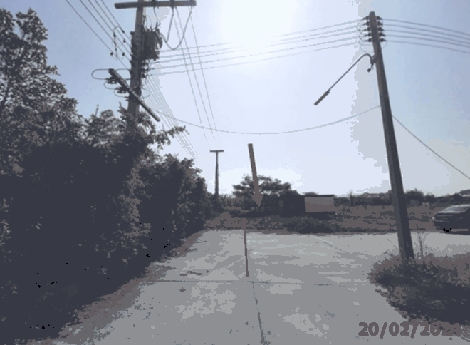 ป่าสัก เมืองลำพูน ลำพูน