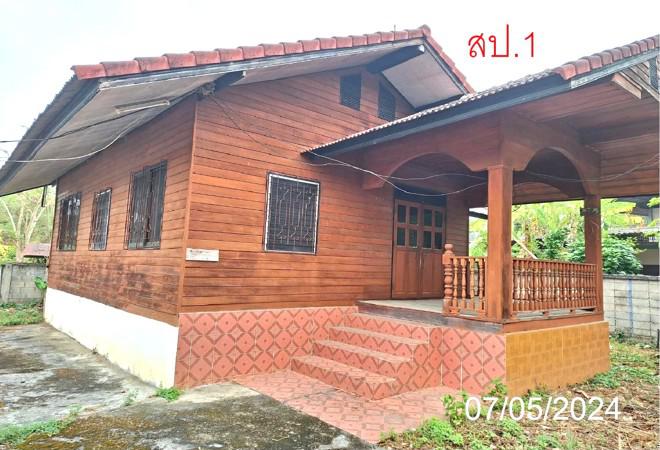 ทาปลาดุก แม่ทา ลำพูน